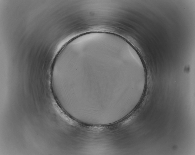 X0000111240854200907231526