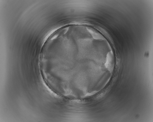 X0000111240855200907231526