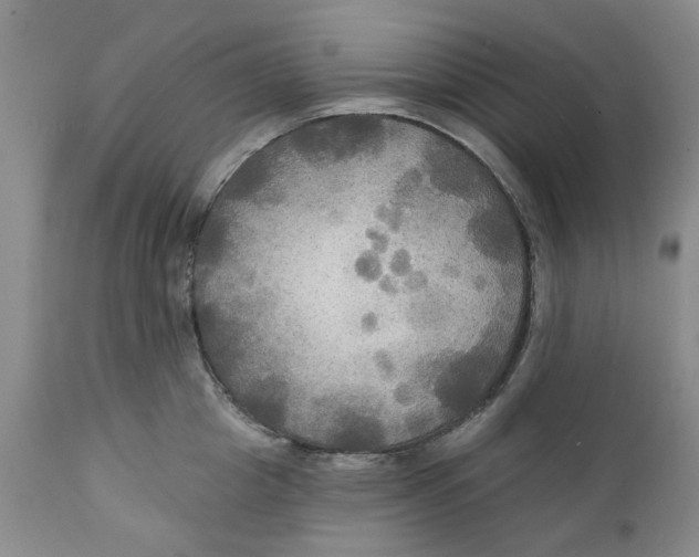 X0000111240857200907231527