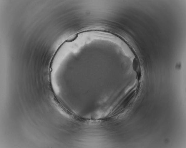 X0000111240858200907231527