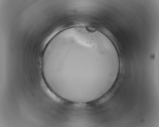 X0000111240859200907231527