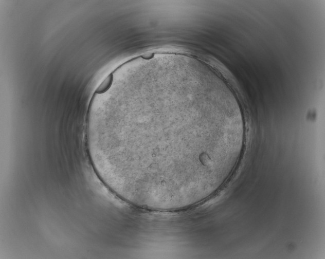 X0000111240860200907231527