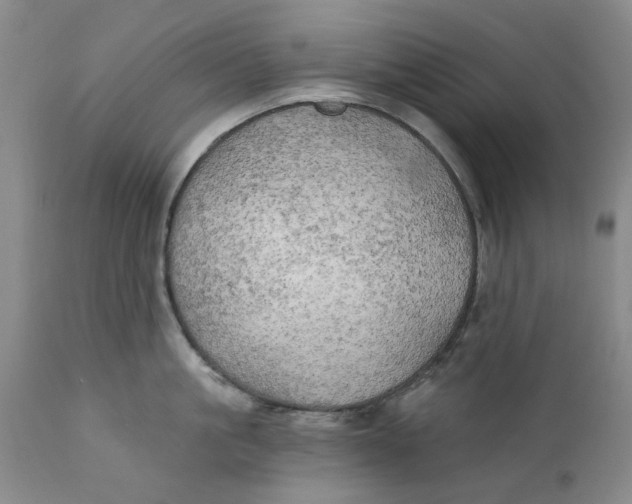 X0000111240861200907231527