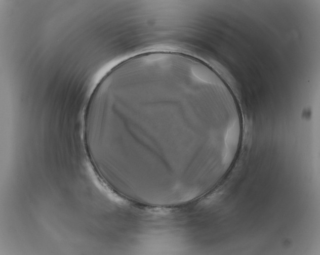 X0000111240862200907231527