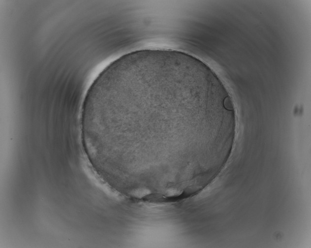 X0000111240864200907231527