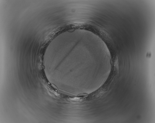 X0000111240868200907231526