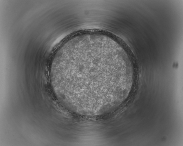 X0000111240871200907231526