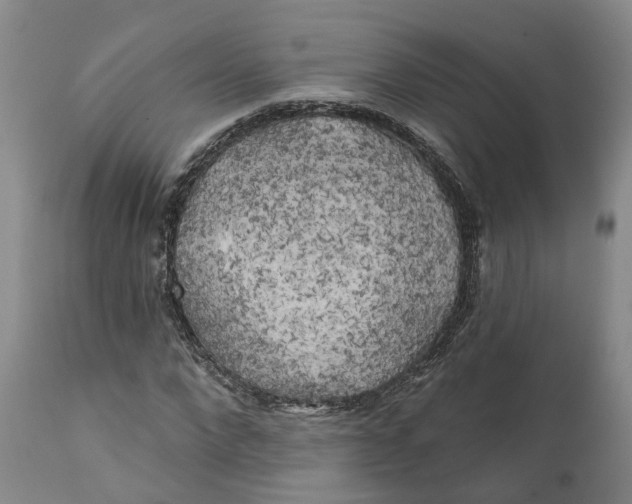 X0000111240872200907231526