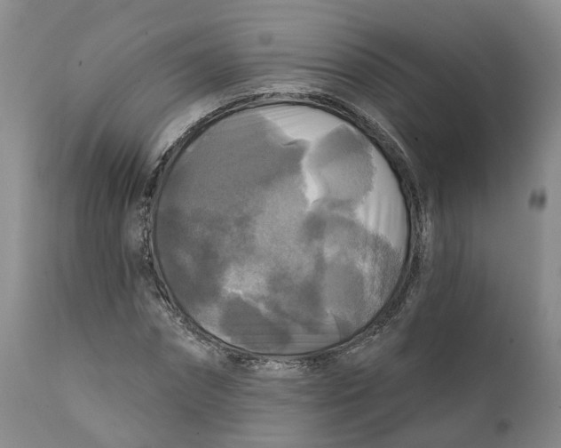 X0000111240874200907231526