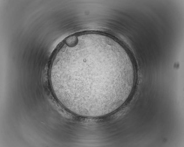 X0000111240875200907231526