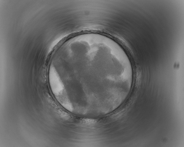 X0000111240878200907231526