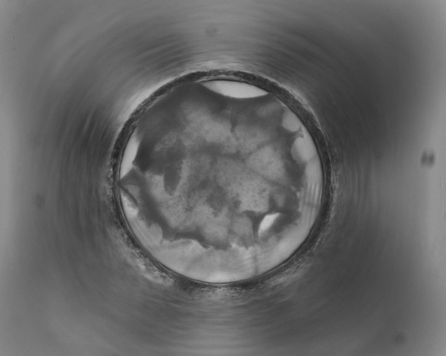 X0000111240879200907231526