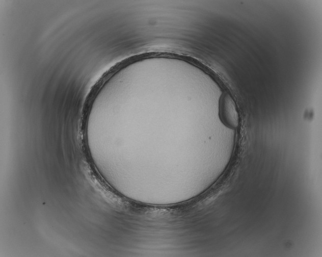 X0000111240880200907231526