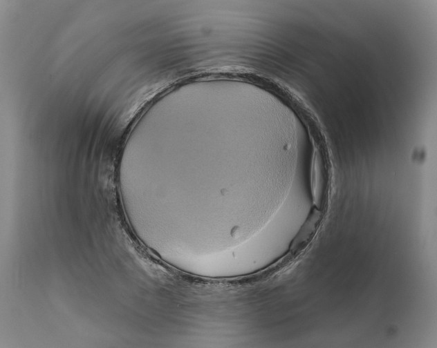 X0000111240881200907231526