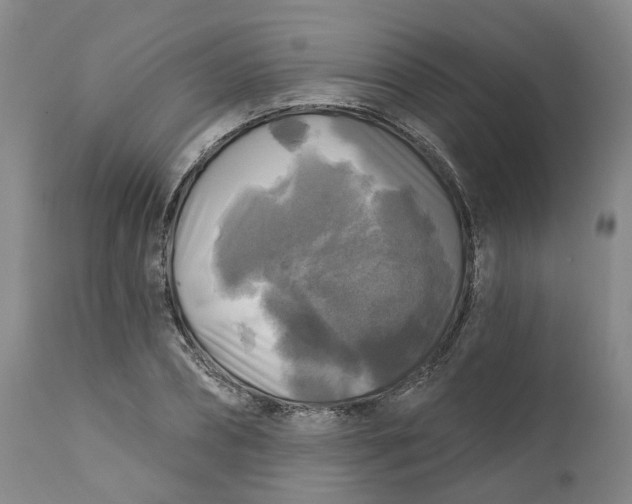 X0000111240882200907231526