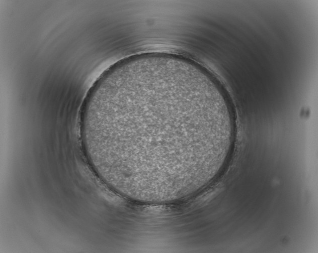 X0000111240883200907231526