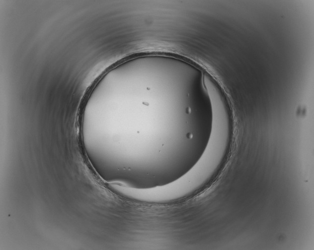 X0000111240885200907231526