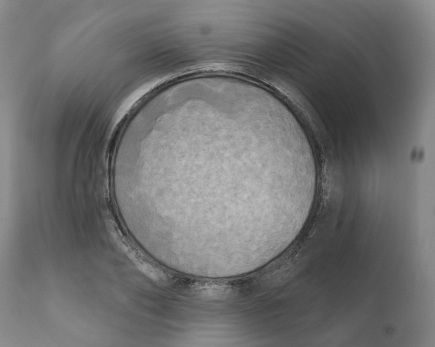 X0000111240886200907231526