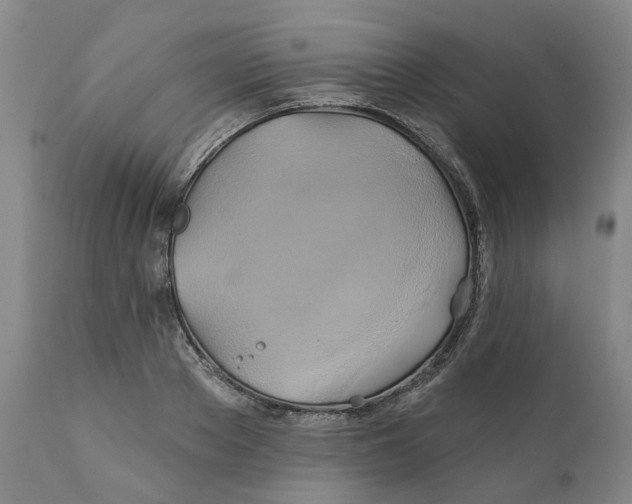 X0000111240889200907231526