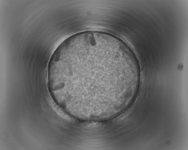 X0000111240891200907231526