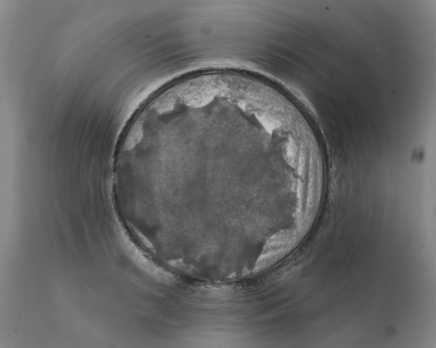 X0000111240895200907231526