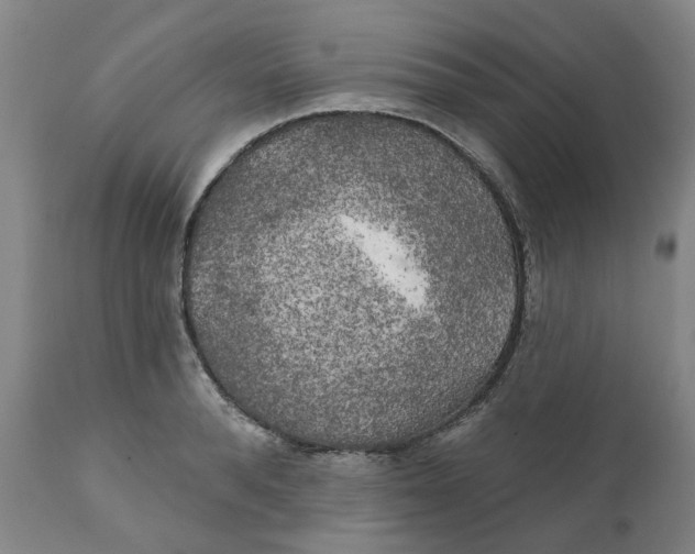 X0000111240896200907231526