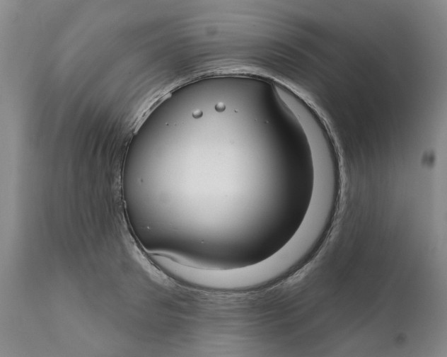 X0000111240897200907231526