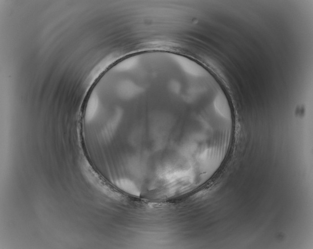 X0000111240899200907231525