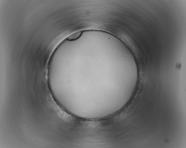 X0000111240900200907231525