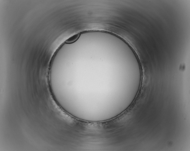 X0000111240901200907231525