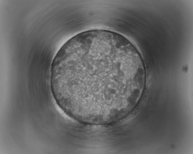 X0000111240903200907231525