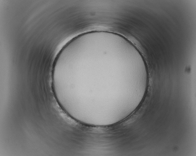 X0000111240904200907231525