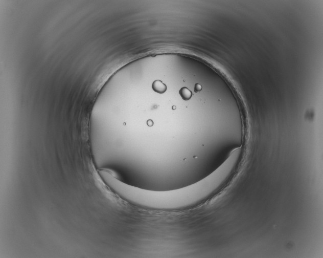 X0000111240905200907231525