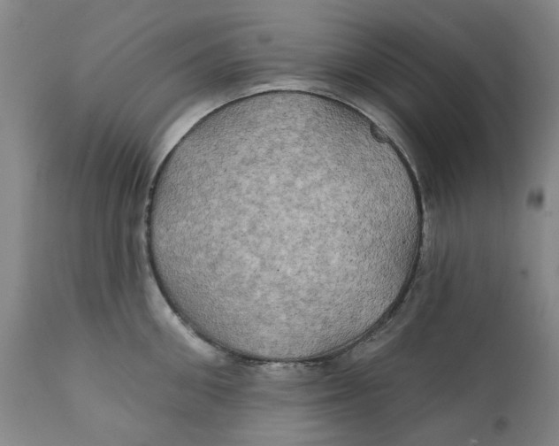 X0000111240906200907231525