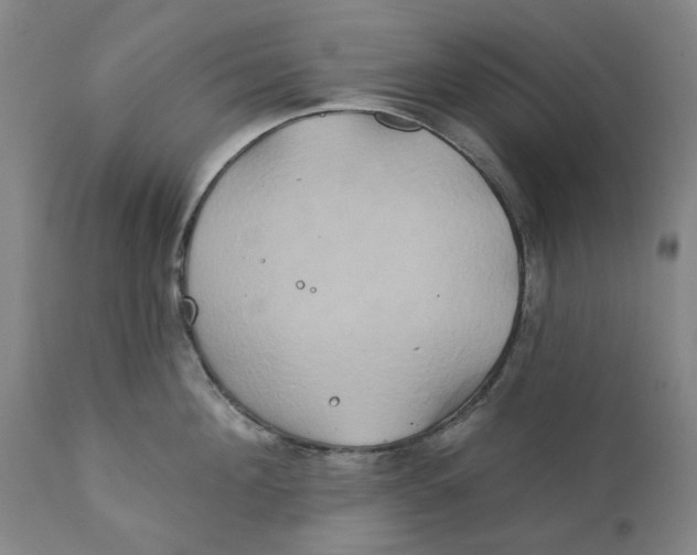 X0000111240908200907231525