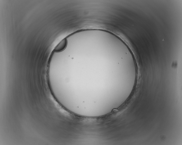 X0000111240909200907231525