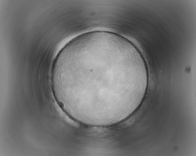 X0000111240910200907231525