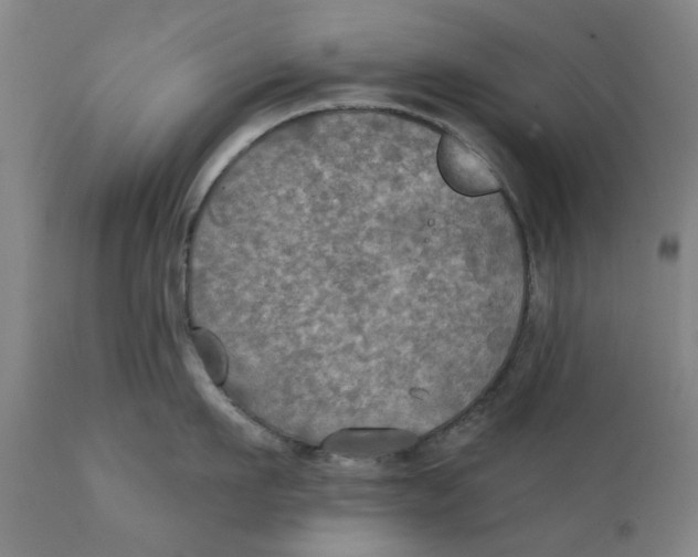 X0000111240911200907231525