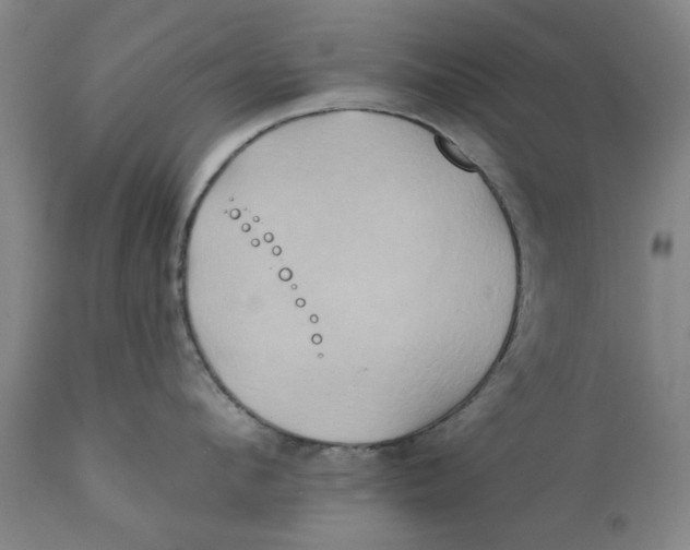 X0000111240912200907231525