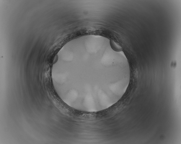 X0000111240914200907231524