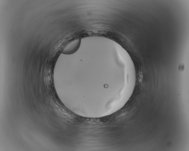 X0000111240915200907231524