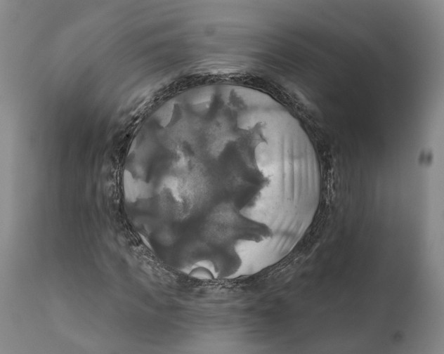 X0000111240917200907231525