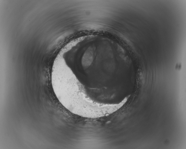 X0000111240918200907231525