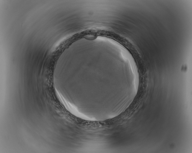 X0000111240919200907231525