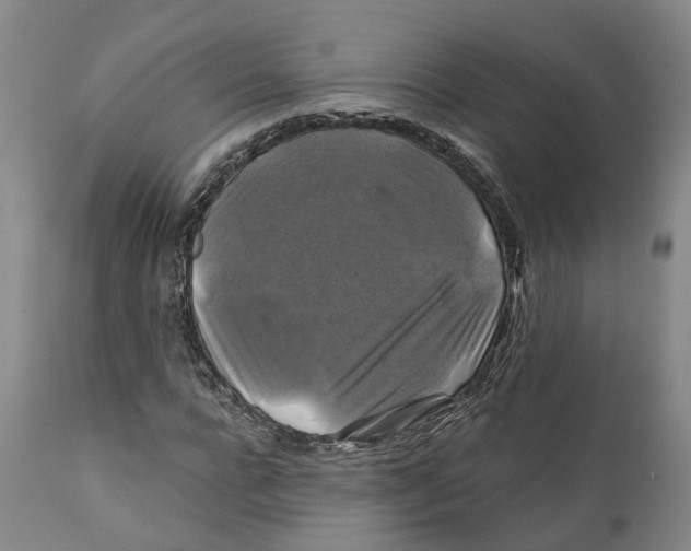 X0000111240920200907231525