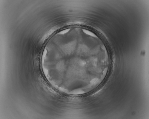 X0000111240921200907231525