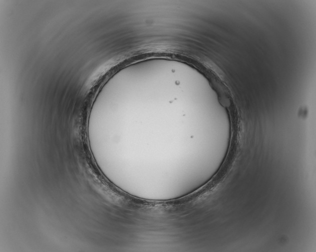 X0000111240922200907231525