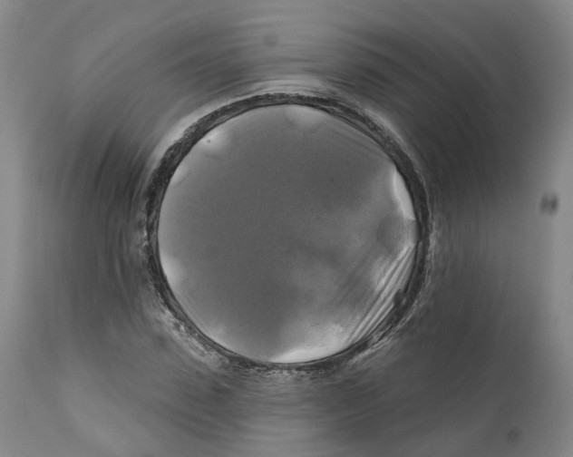 X0000111240923200907231525