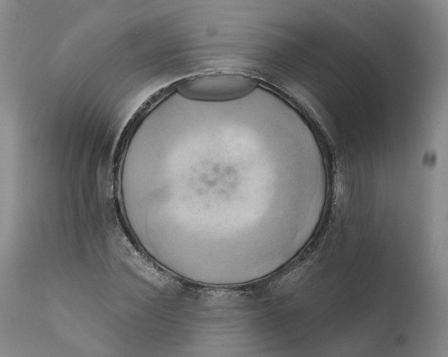 X0000111240924200907231525