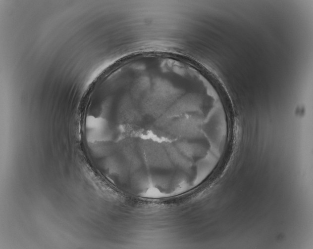 X0000111240925200907231525